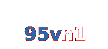 95vn1