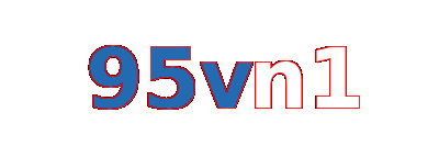 95vn1